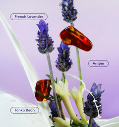 Skin Replenishing Body Wash - Fresh Notes